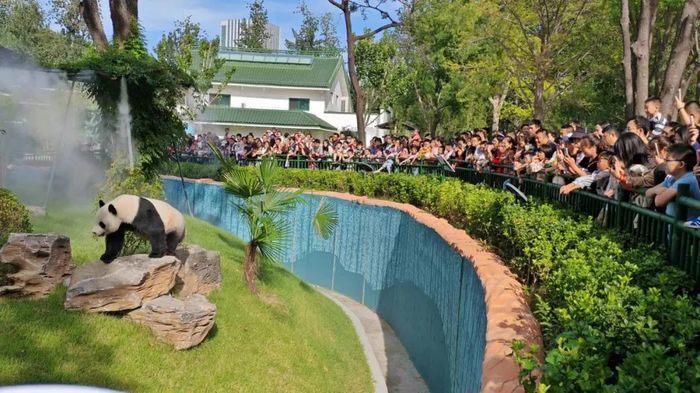 126.82万人畅游公园！济南千佛山、动物园等公园景区“双节”客流创新高