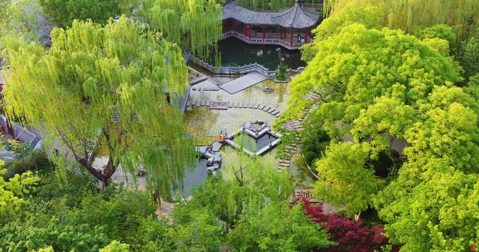 【水下济南】濂泉：清泉石上流 鱼儿天上游