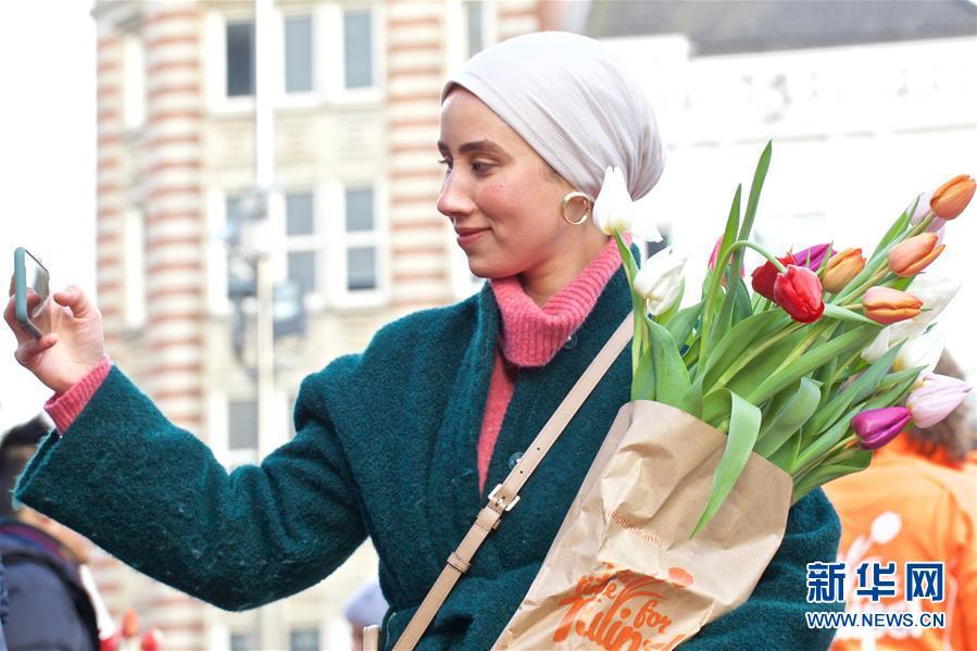 荷兰迎来郁金香日