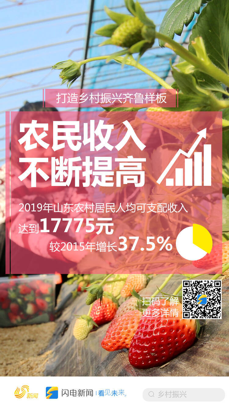 彰显农业大省担当！六张创意海报看乡村振兴齐鲁答卷