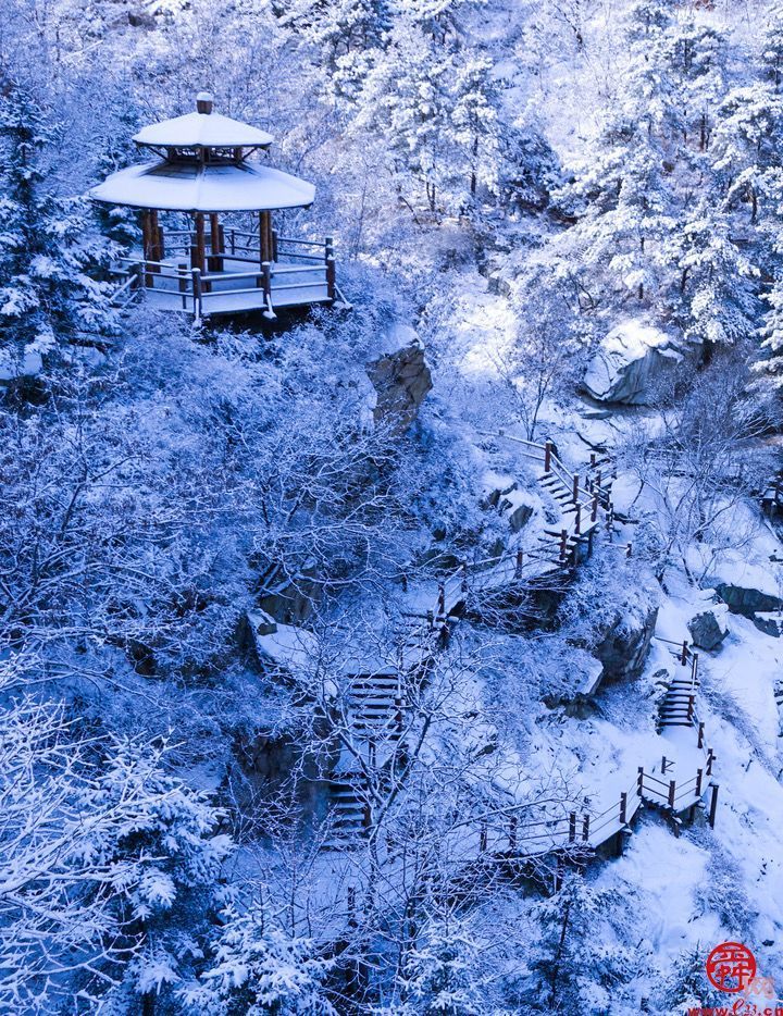 雪落冬藏！九如山迎来鹅毛大雪，银装素裹美如画