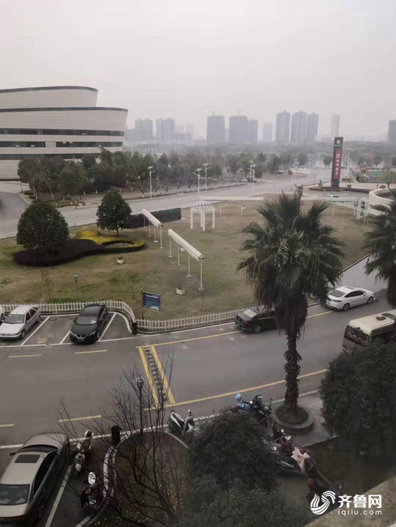 抗疫一线日记⑨卫方方：抗疫一线不孤单，我在武汉好着呢