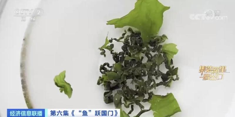 来水产品出口大省山东，看一条鲅鱼的出海之旅