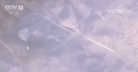 这种奇怪的生物叫佳朋鲎(hòu)虫，还有个名字“三眼恐龙虾”