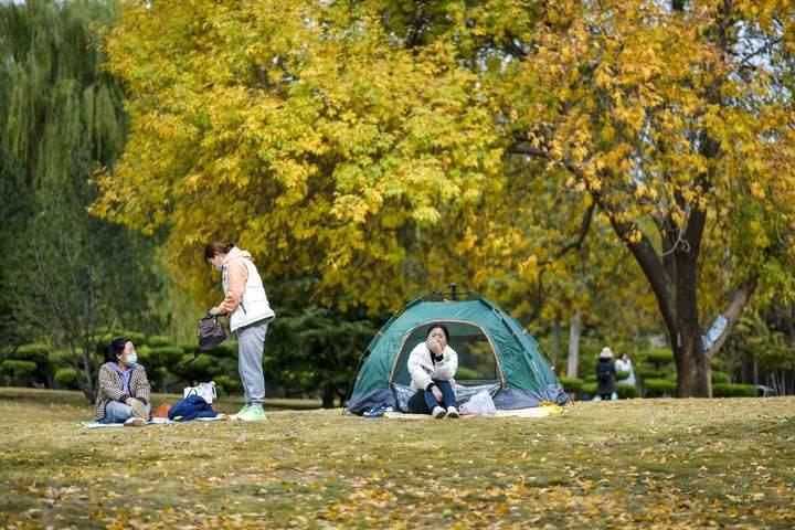深秋黄叶林中露营野餐 体验“沉浸式”赏秋