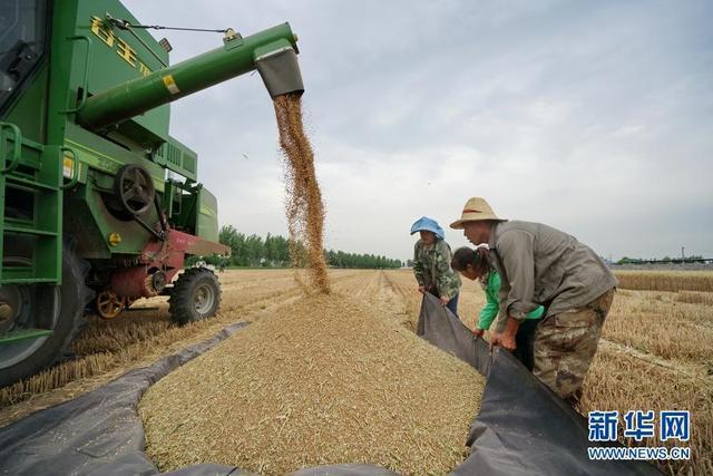 改变世界的一粒种子——从中央一号文件看打赢种业翻身仗