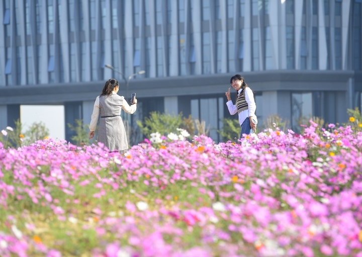 坐地铁赏花海，济南轨交3号线新站开通