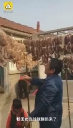 烟台姥爷，火了！只因外孙女一句话，花12000元灌香肠挂满院子！