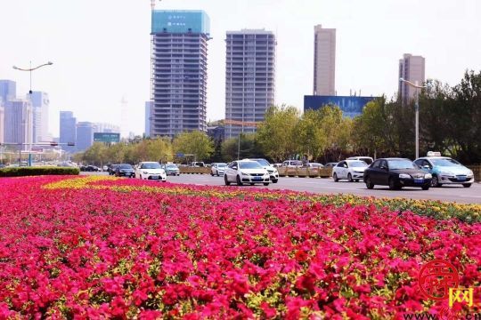路上就能赏花！千万盆鲜花扮靓泉城喜迎五一