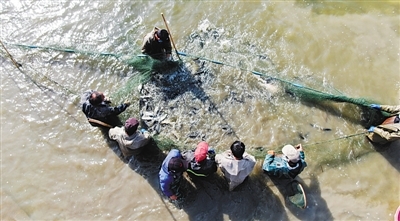武汉人喜欢吃活鱼，活鱼来了