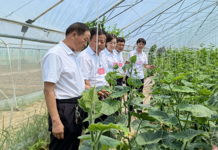 “迷你人代会”——济阳人政治生活时间轴上的新刻度
