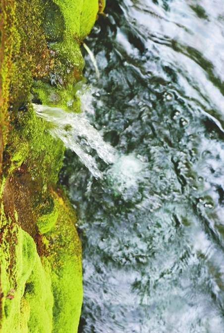 黑虎泉池壁上再现新“喷涌口”