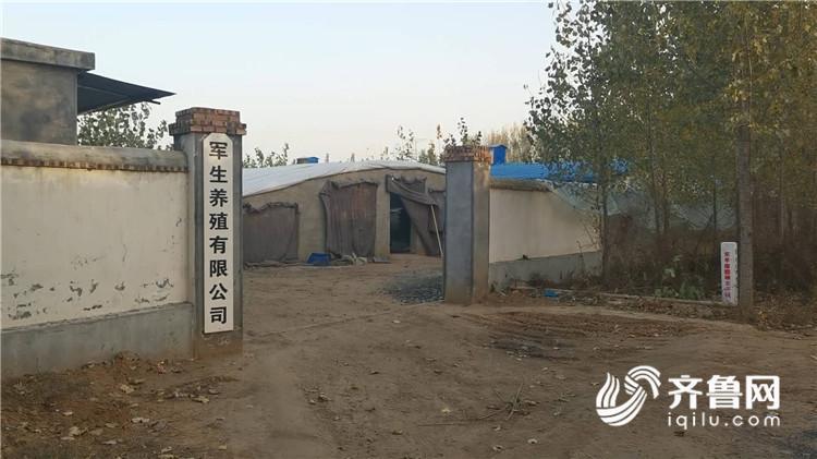 问政山东丨生猪稳产保供打出政策“组合拳” 执行到位了吗？