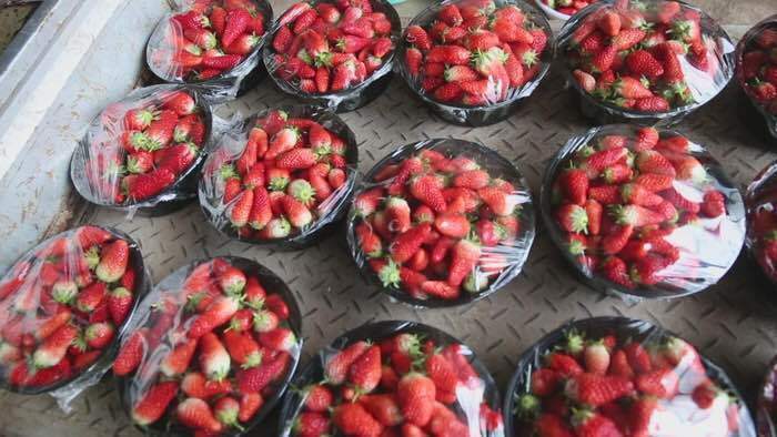 【春耕进行时】回看舜网记者带您走过的这些地方