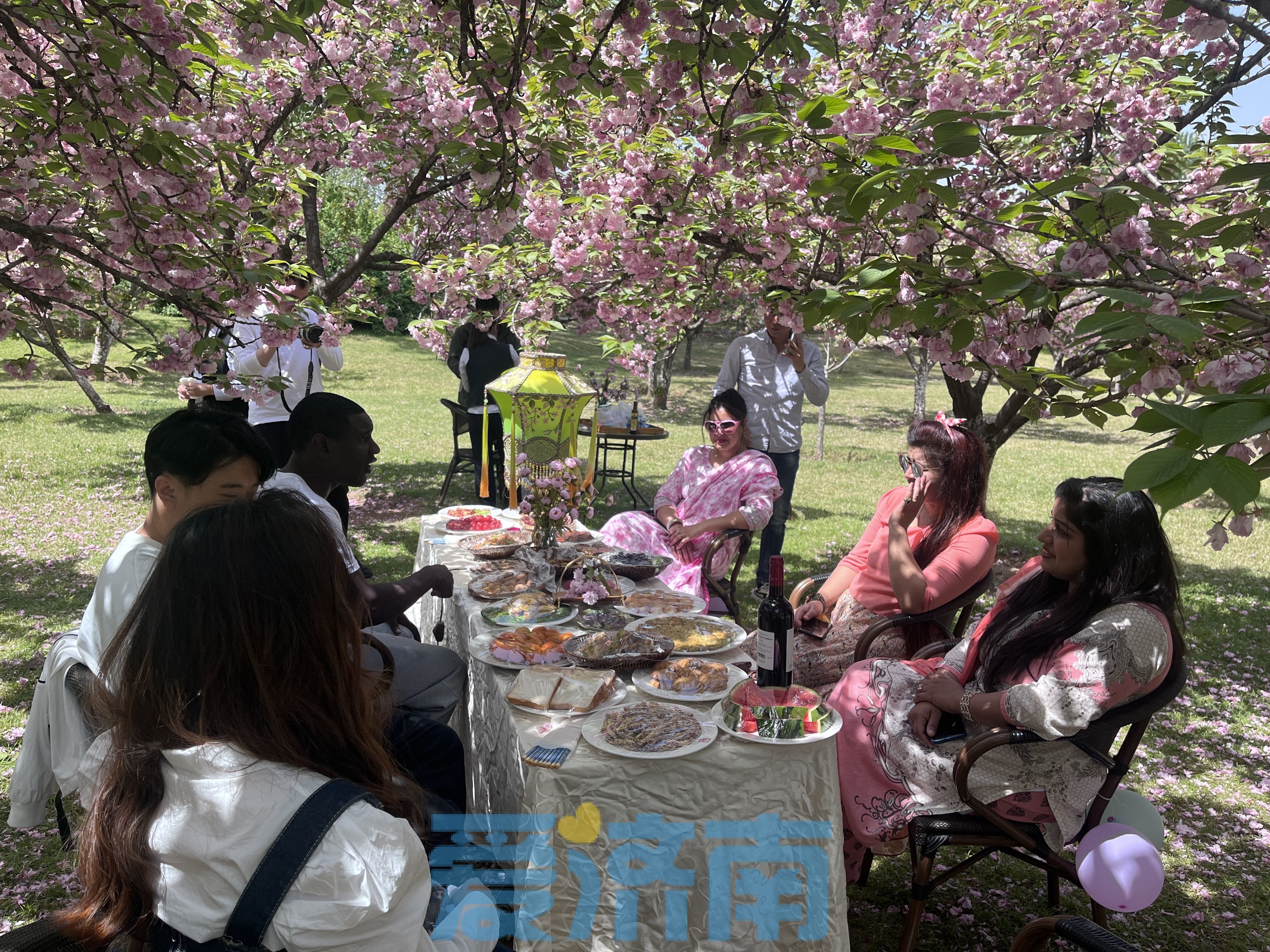 花间品美食、赏美景，外国友人体验别样济南生活