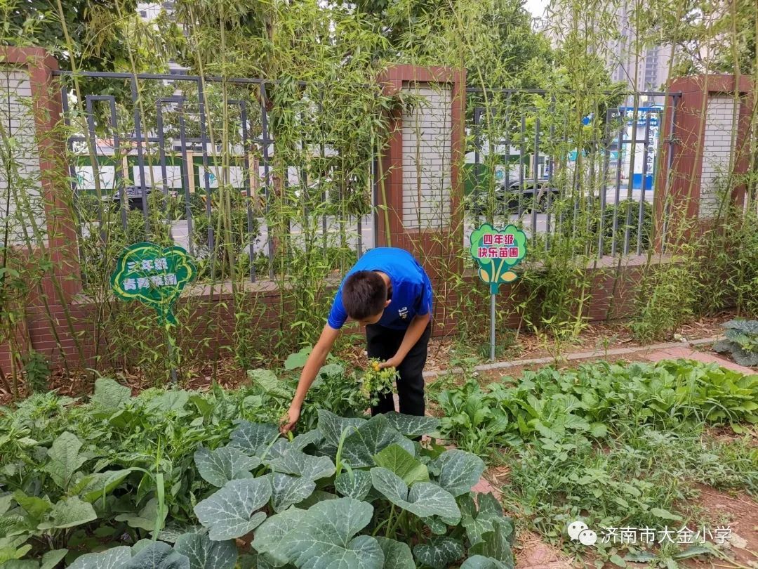 槐荫教育再摘国字号荣誉！大金小学荣获“2022年全国生态文明教育特色学校”