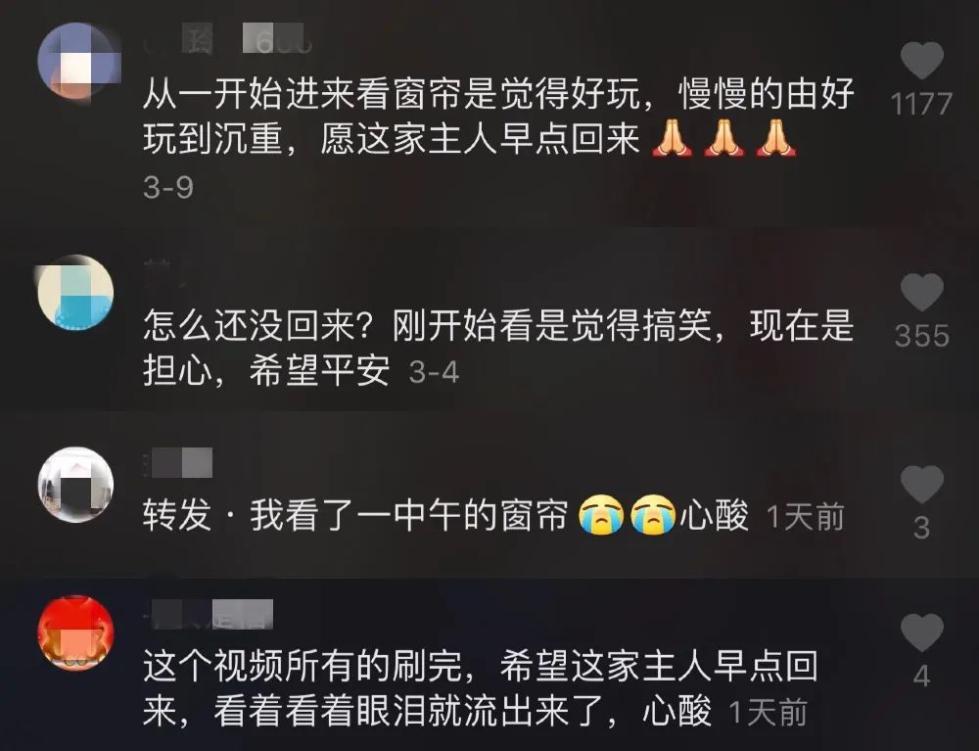 大结局来了！被拍成连续剧的窗帘户主回家了 主人安全回家网友悬着的心落了地