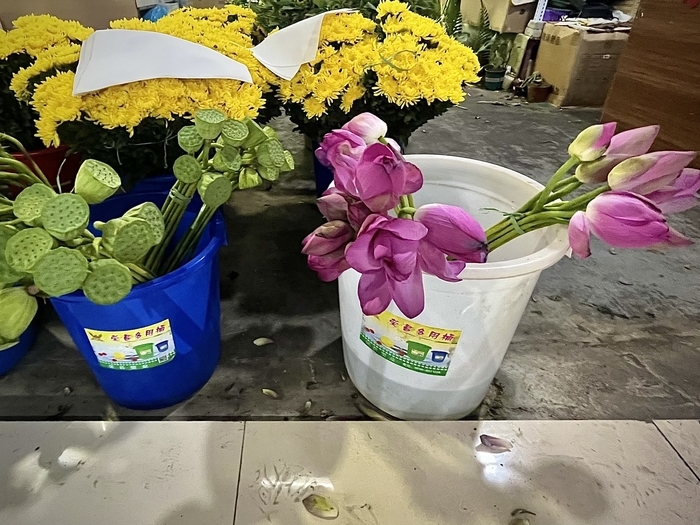 济南人的“夏日专属浪漫”！淡雅荷花手捧花走俏市场