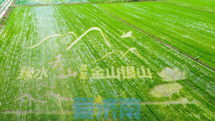 连续两年捧得两大生态“金招牌”，历城区做对了什么？