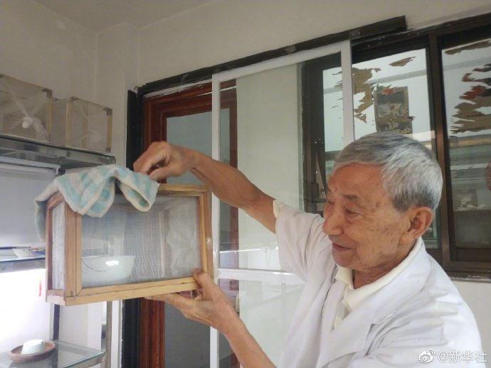 致敬！为了防治疟疾86岁老人研究蚊子70年