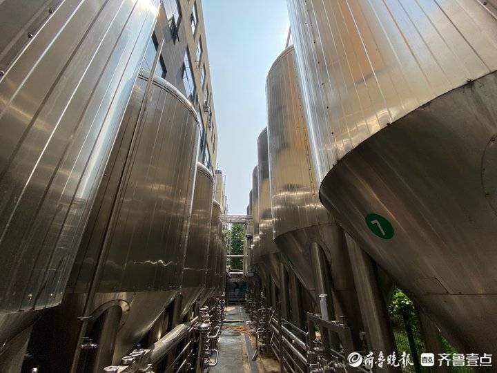 一天喝掉200吨！走进济南精酿啤酒“江湖”