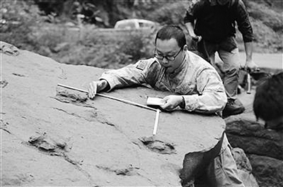 传了千百年的“李存孝打虎处” “人虎足印”原是恐龙留下的！