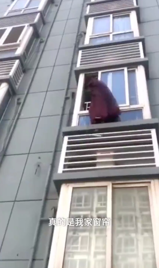 大结局来了！被拍成连续剧的窗帘户主回家了 主人安全回家网友悬着的心落了地