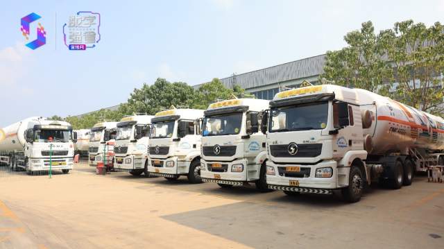 “手机亮证”渐成习惯，山东数字强省建设带来这些便利