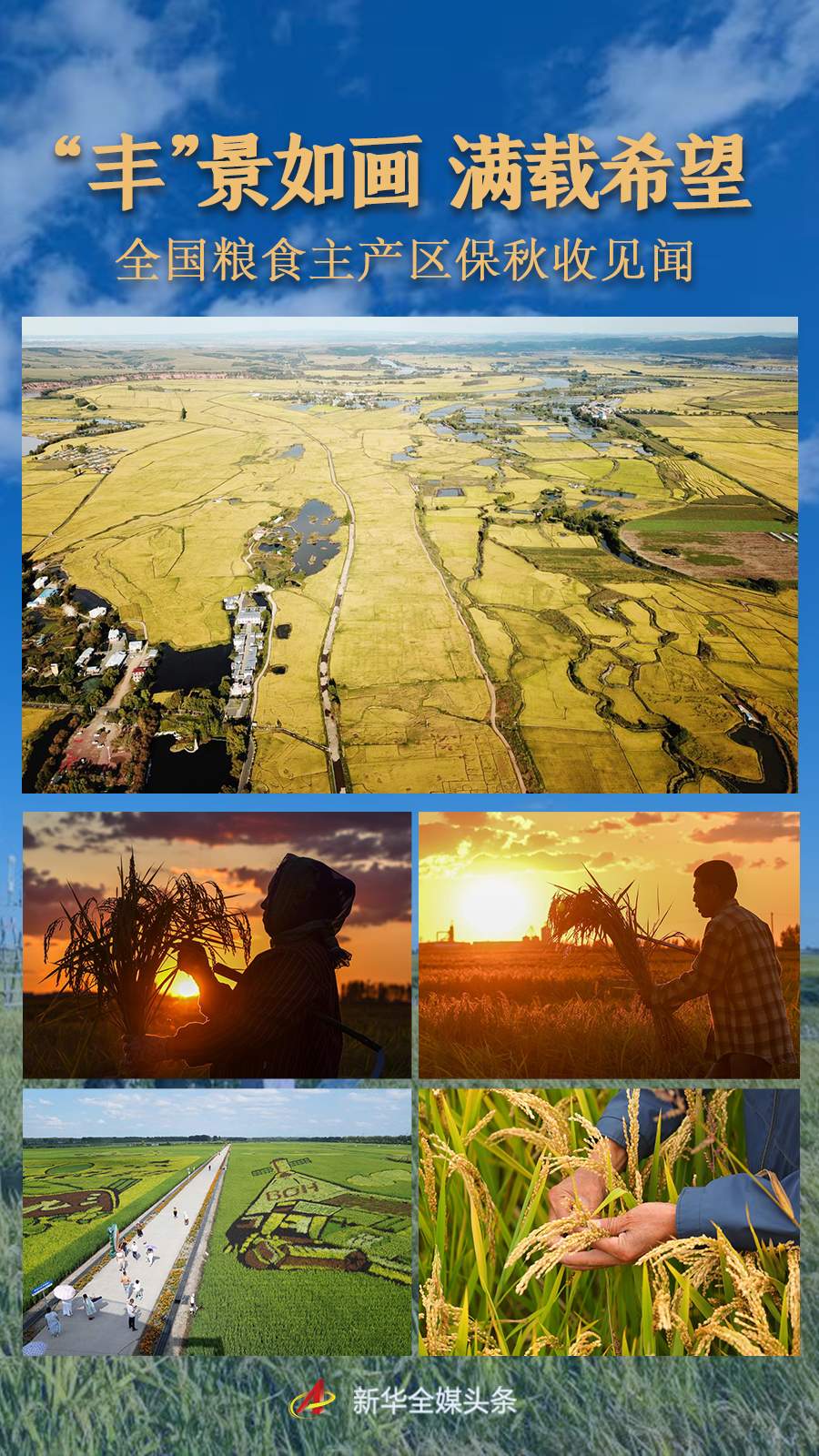 “丰”景如画 满载希望——全国粮食主产区保秋收见闻