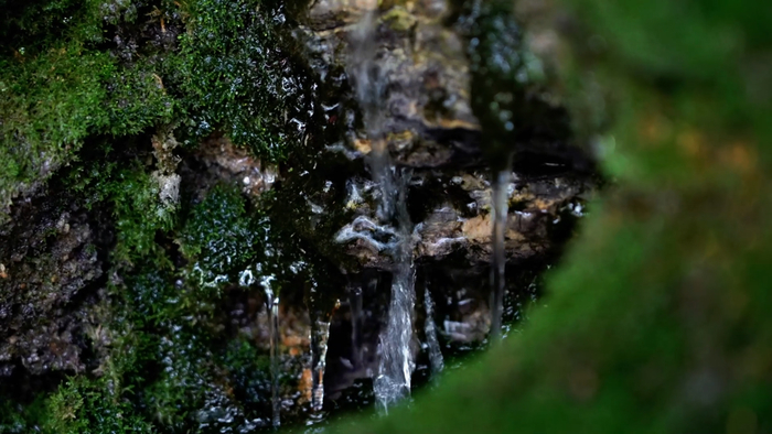 游泰山不至灵岩不成游也！是时候和古刹来一次美丽的邂逅
