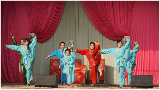 打造“戏曲振兴”样板 乡村文化振兴课题组为柳子戏发展建言献策