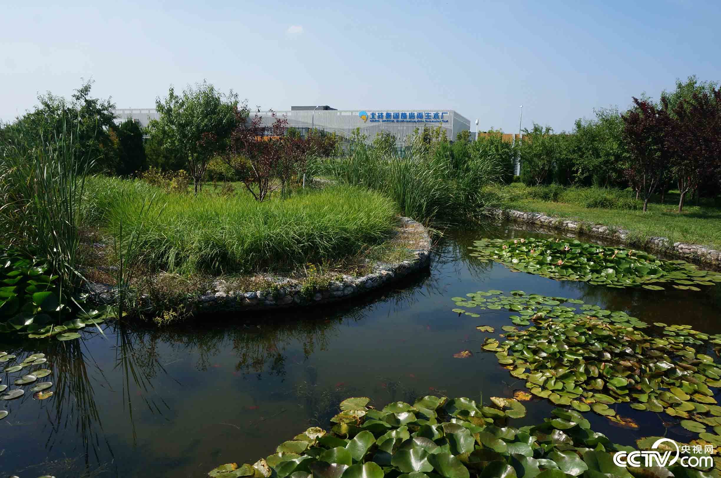【瓣瓣同心·协同五年谱新篇】水韵京华 可渔可游——北京这座亚洲最大的再生水厂“不一般”