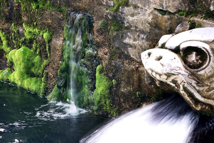 济南黑虎泉池壁上现新“喷口”