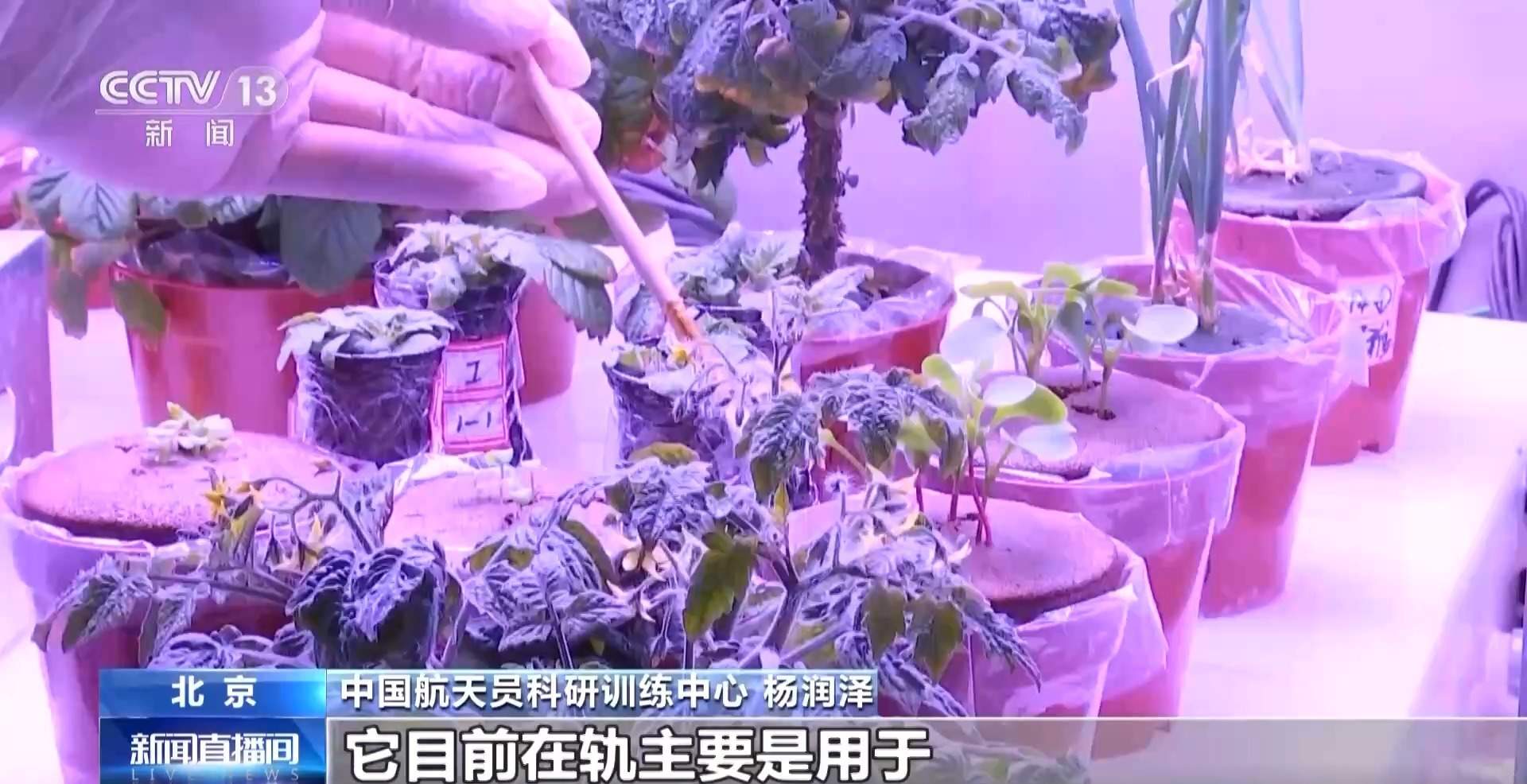 太空种菜是为了让航天员吃点新鲜蔬菜?把格局打开