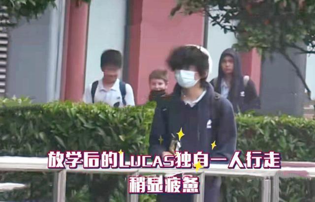 张柏芝俩儿子来上海读书了!放学后贴身保镖护送回家