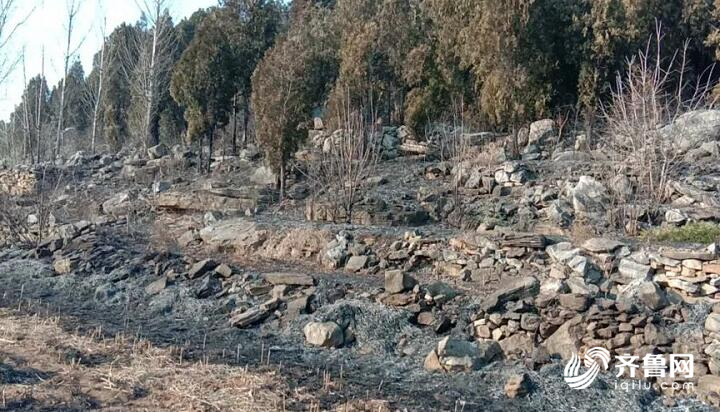 山东首例！临沂费县一社区矫正对象因见义勇为获减刑