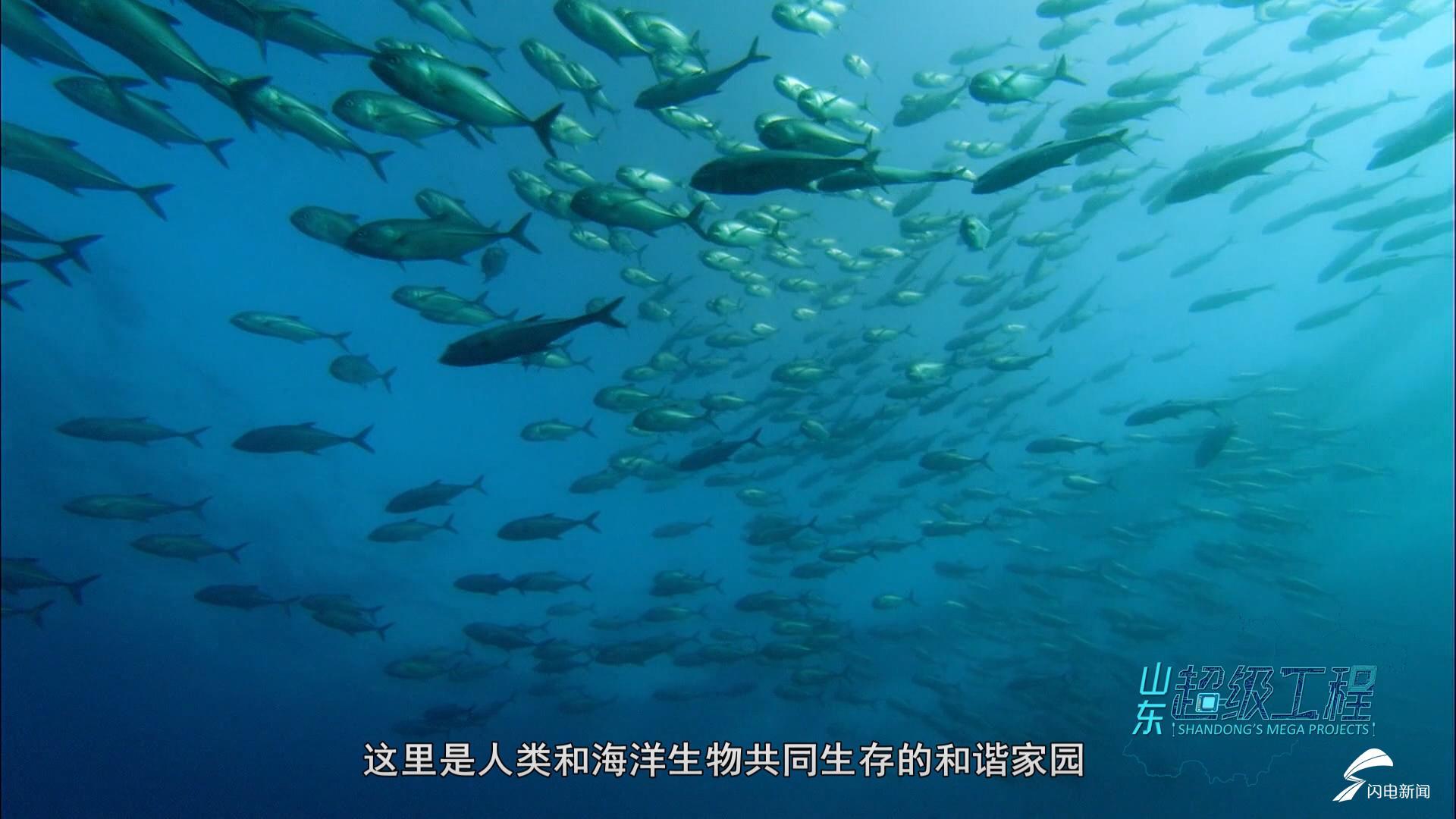 这就是山东｜退港还海！日照港海龙湾还城市一条“蓝腰带”