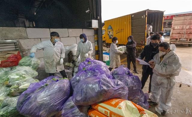 战疫“摆渡人”张林的十二时辰