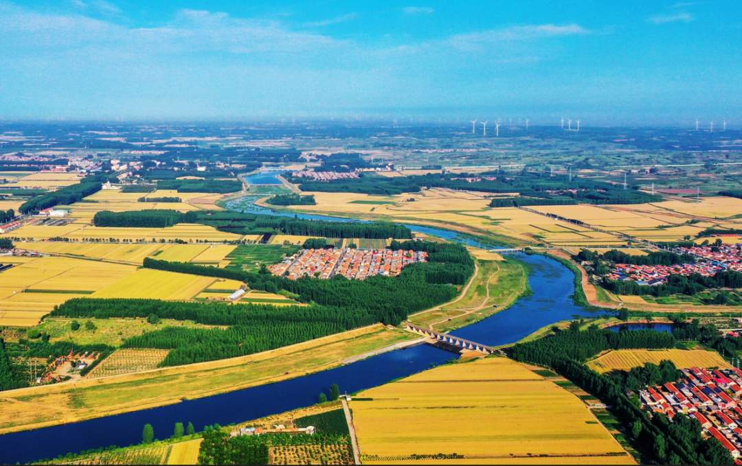 “553N”——解锁乡村振兴“山东密码”