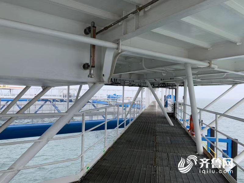 山东发挥财政杠杆支撑作用 推动海洋牧场建设走在前列