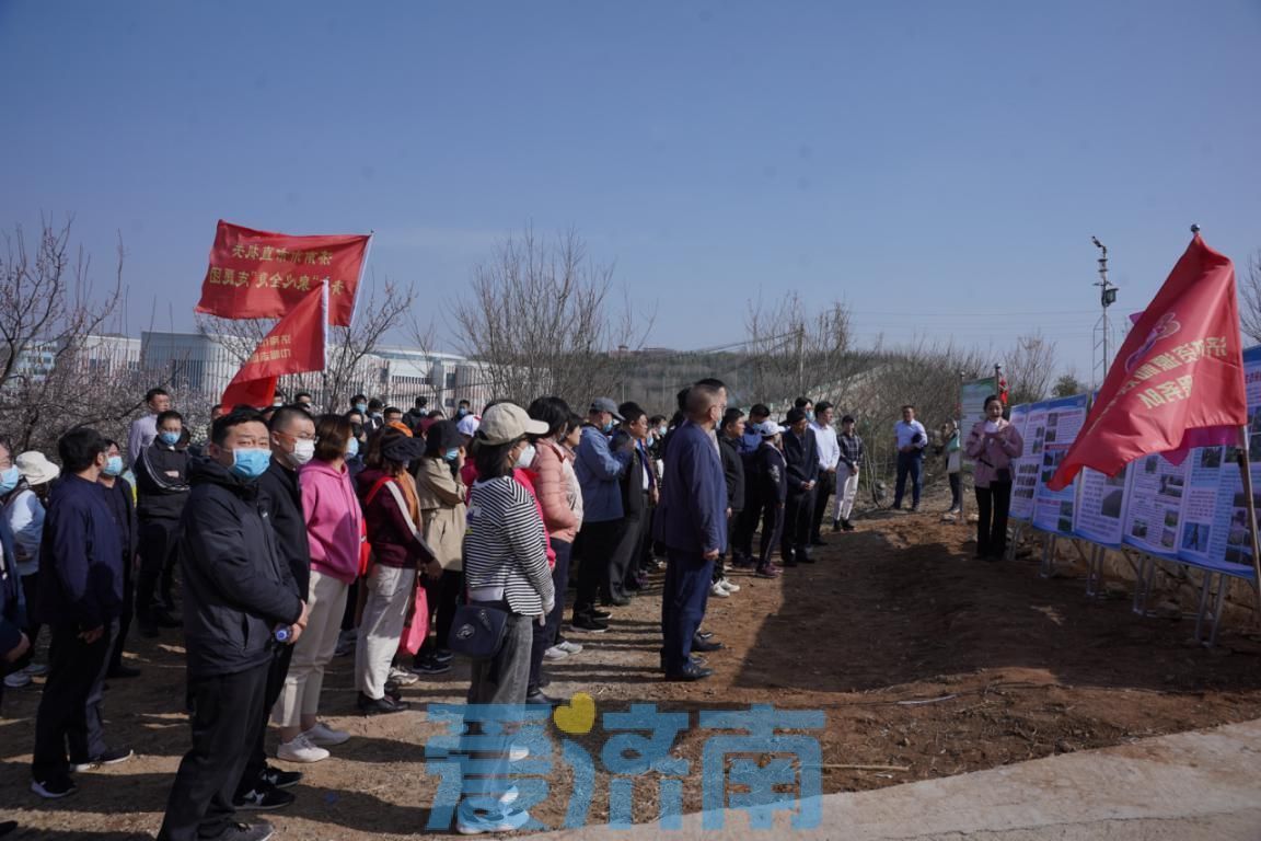 市直机关青年“泉心全意”志愿团开展“践行生态文明思想为泉城添一抹绿色”青年理论联学暨义务植树活动