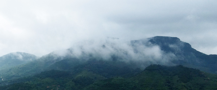 泉城雨后云雾缭绕 如秀美诗意画卷
