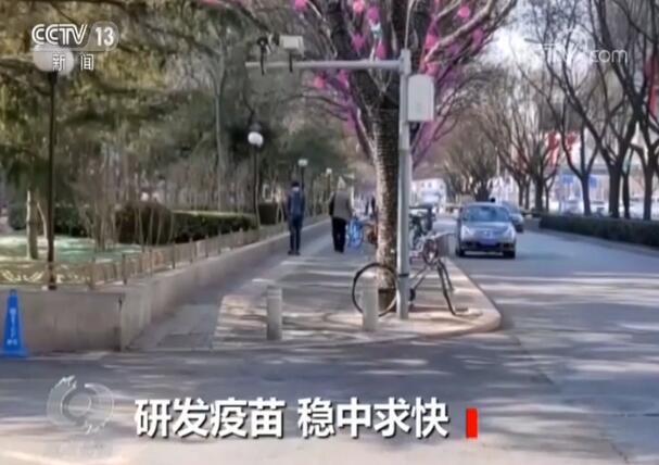 疫苗研发应急攻关，如何保证既快速及时又安全有效？