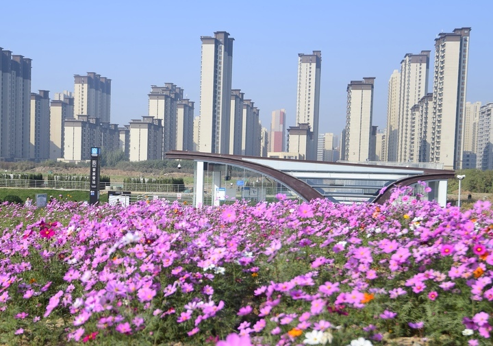 坐地铁赏花海，济南轨交3号线新站开通