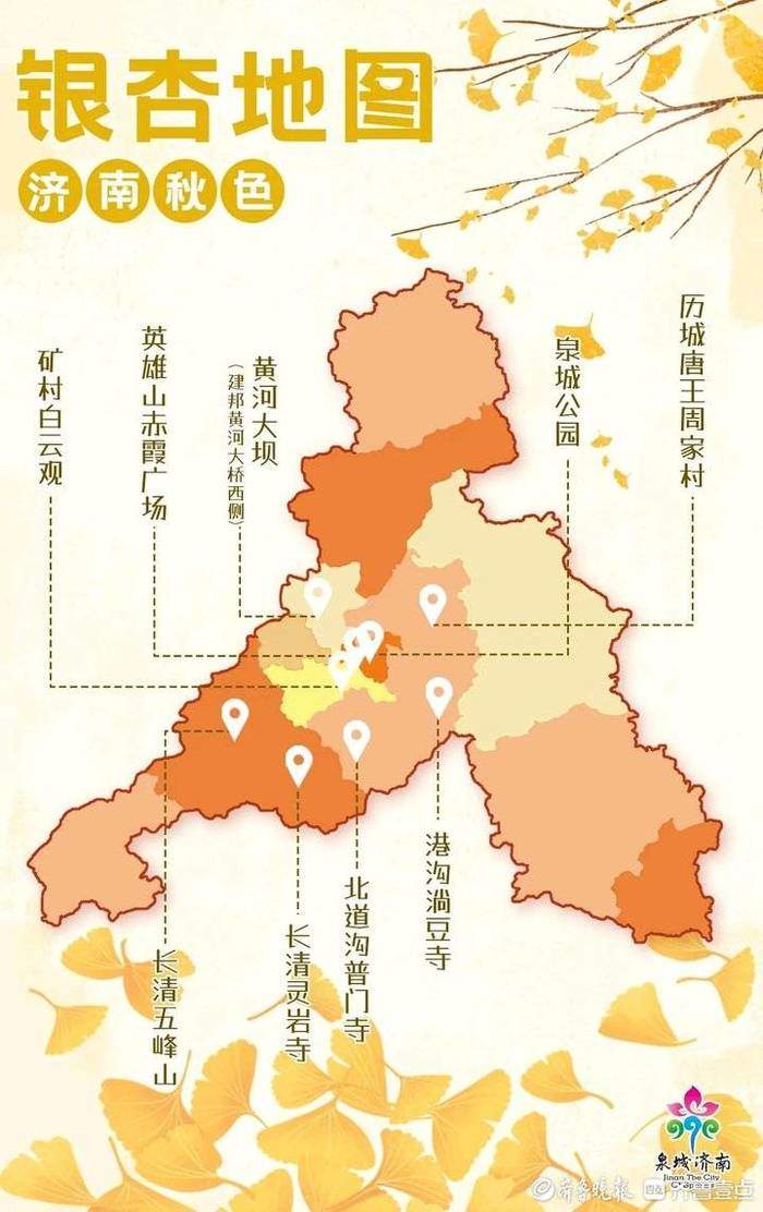 2023济南赏银杏地图来啦！准备好一起去打卡了吗