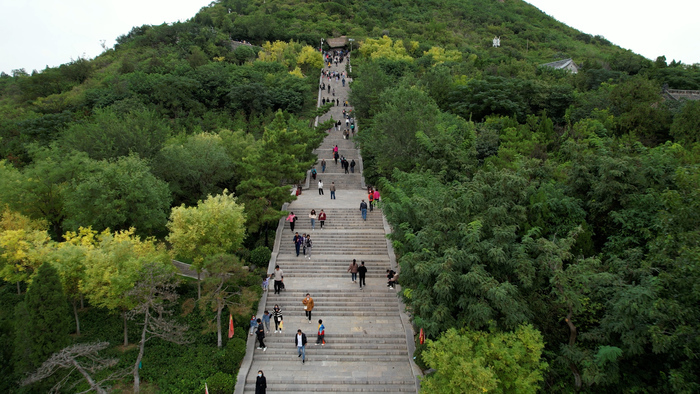 抓住假期的尾巴 这个免费的湿地公园值得你来打卡