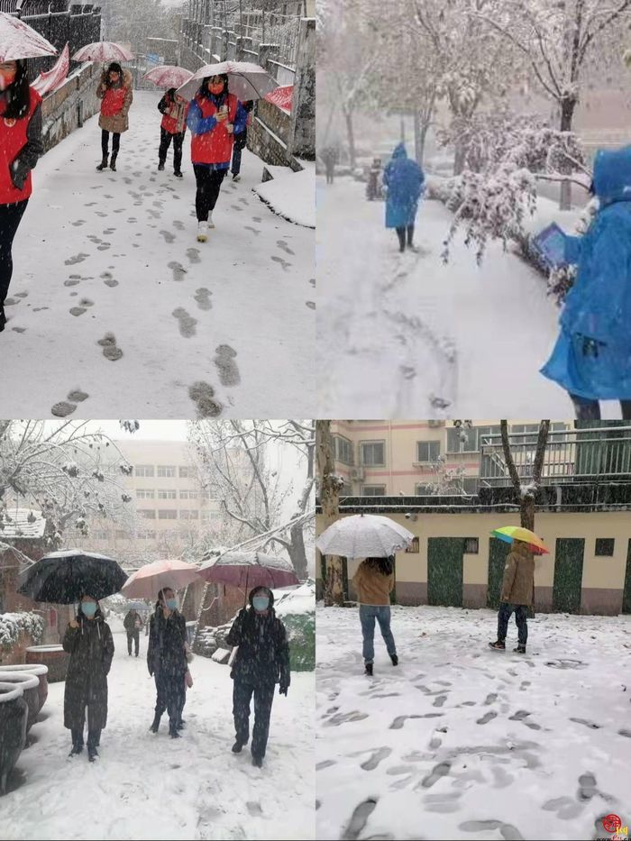 以雪为令历下区各部门各街道立即行动多措并举应对暴雪天气