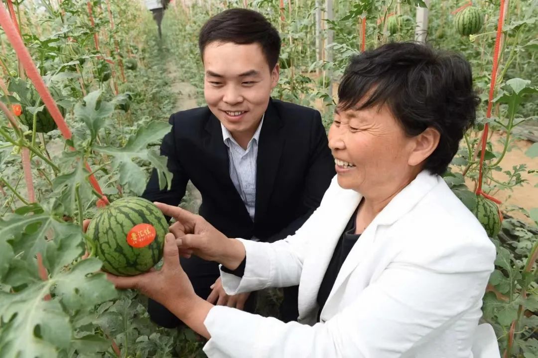 西瓜穿网兜、住空中～济南大姐黄河边建500亩“吃瓜”小镇