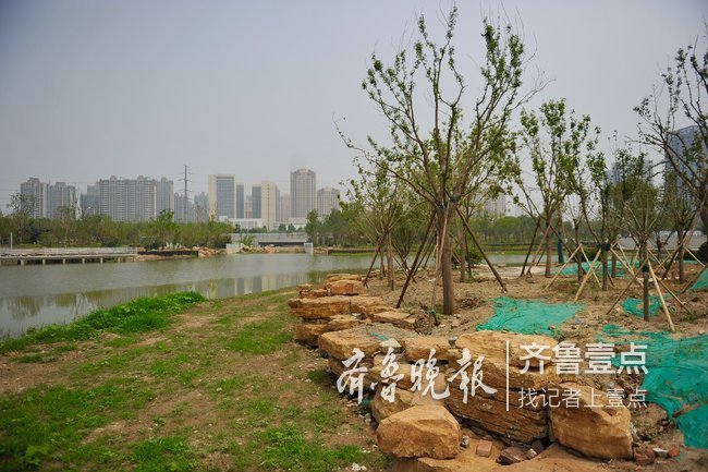 连通大明湖小清河，济南云锦湖公园惊艳初显型！