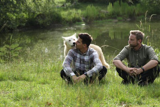 BBC纪录片《不可思议的动物》首播 配音超强阵容